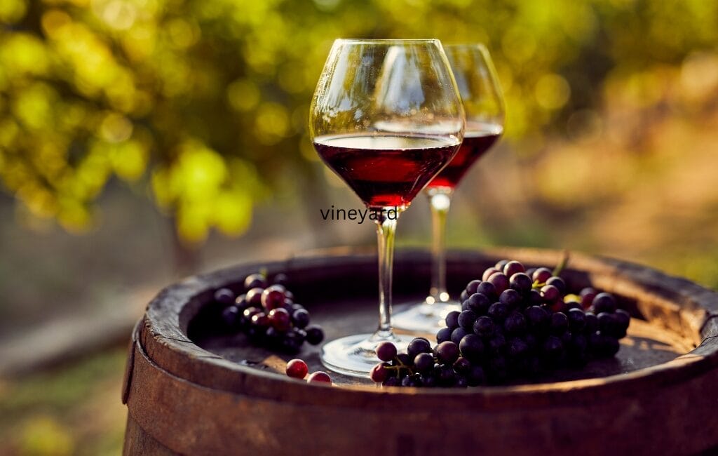 Wine barrel with two glasses of red wine and grapes, symbolizing a river cruise in France.