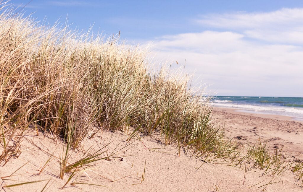 Gotland Beaches