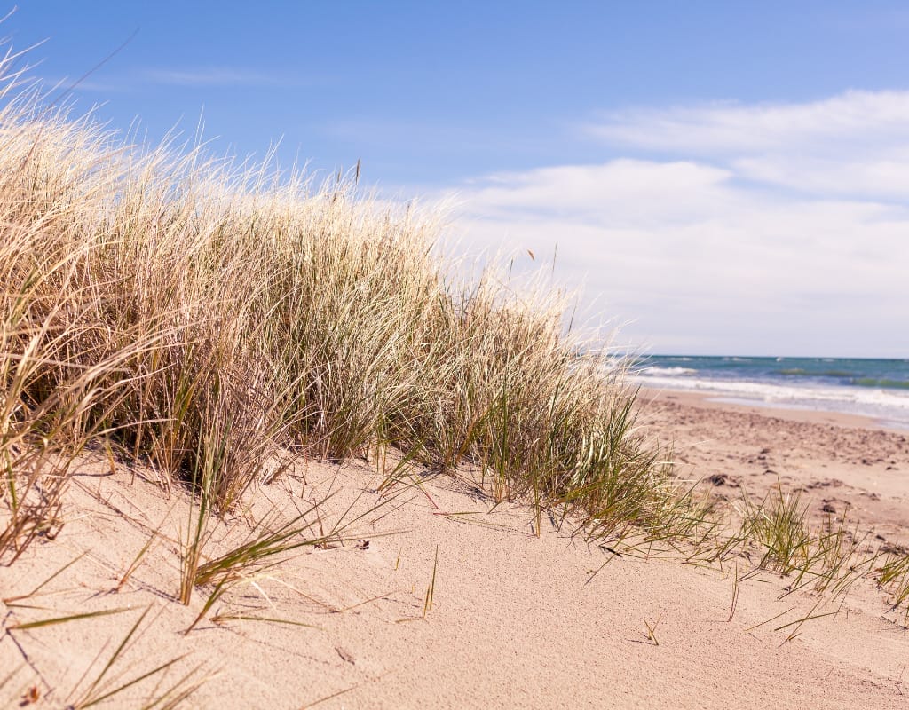 Gotland Beaches