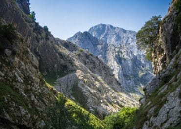 Picos de Europa