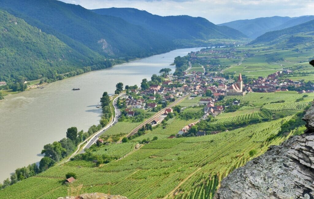 Panoramic view of Wachau Valley with terraced vineyards and the Danube River