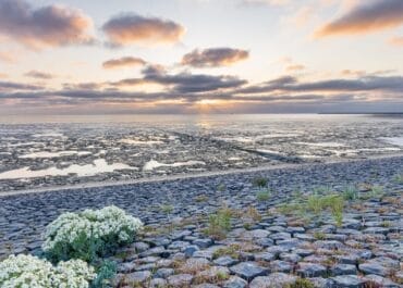 Wadden Sea at sunset with receded waters